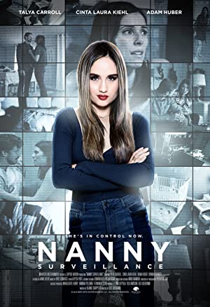 Nanny Surveillance (2018) starring Talya Carroll on DVD on DVD